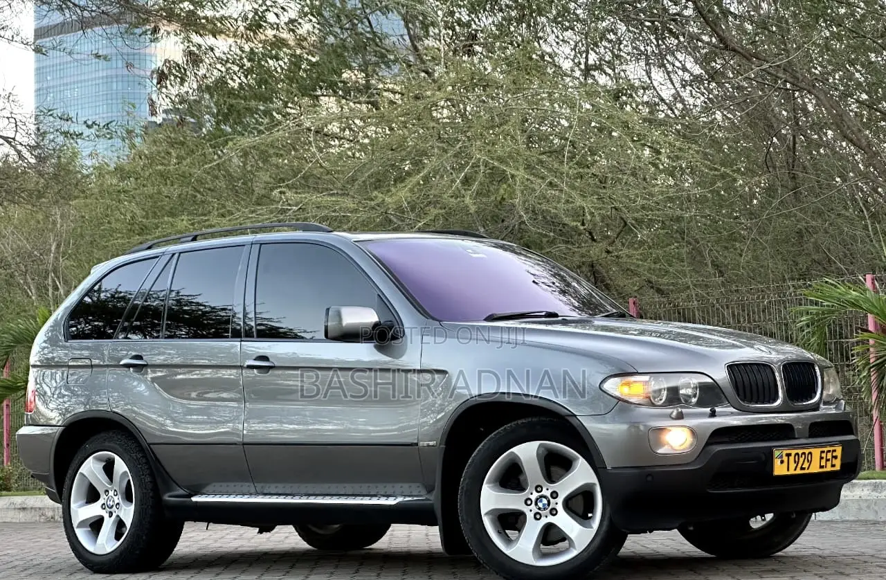 BMW X5 3.0d 2005 Gray