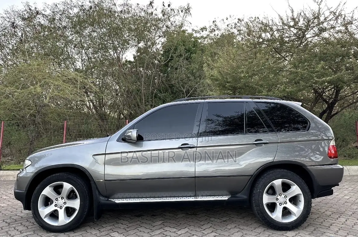 BMW X5 3.0d 2005 Gray
