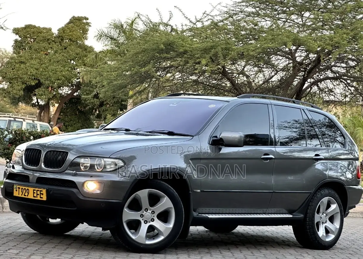 BMW X5 3.0d 2005 Gray