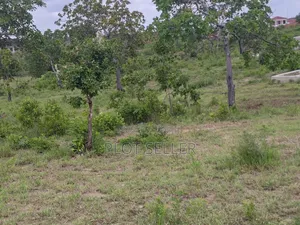 Shamba Linauzwa Kibaha