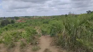 Shamba Linauzwa Kibaha
