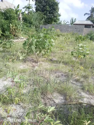 Kiwanja Sqmita 200 Kinauzwa Milioni 3.5 Majohe Chuo Rada.