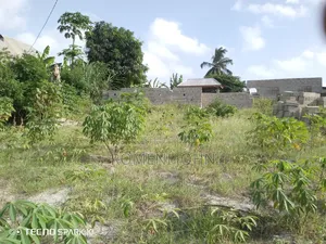 Kiwanja Sqmita 200 Kinauzwa Milioni 3.5 Majohe Chuo Rada.