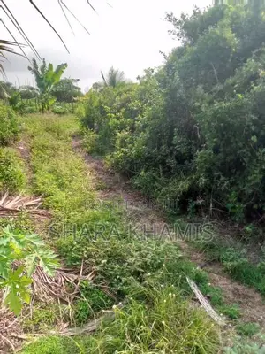Ukongoroni Zanzibar Land on Sale