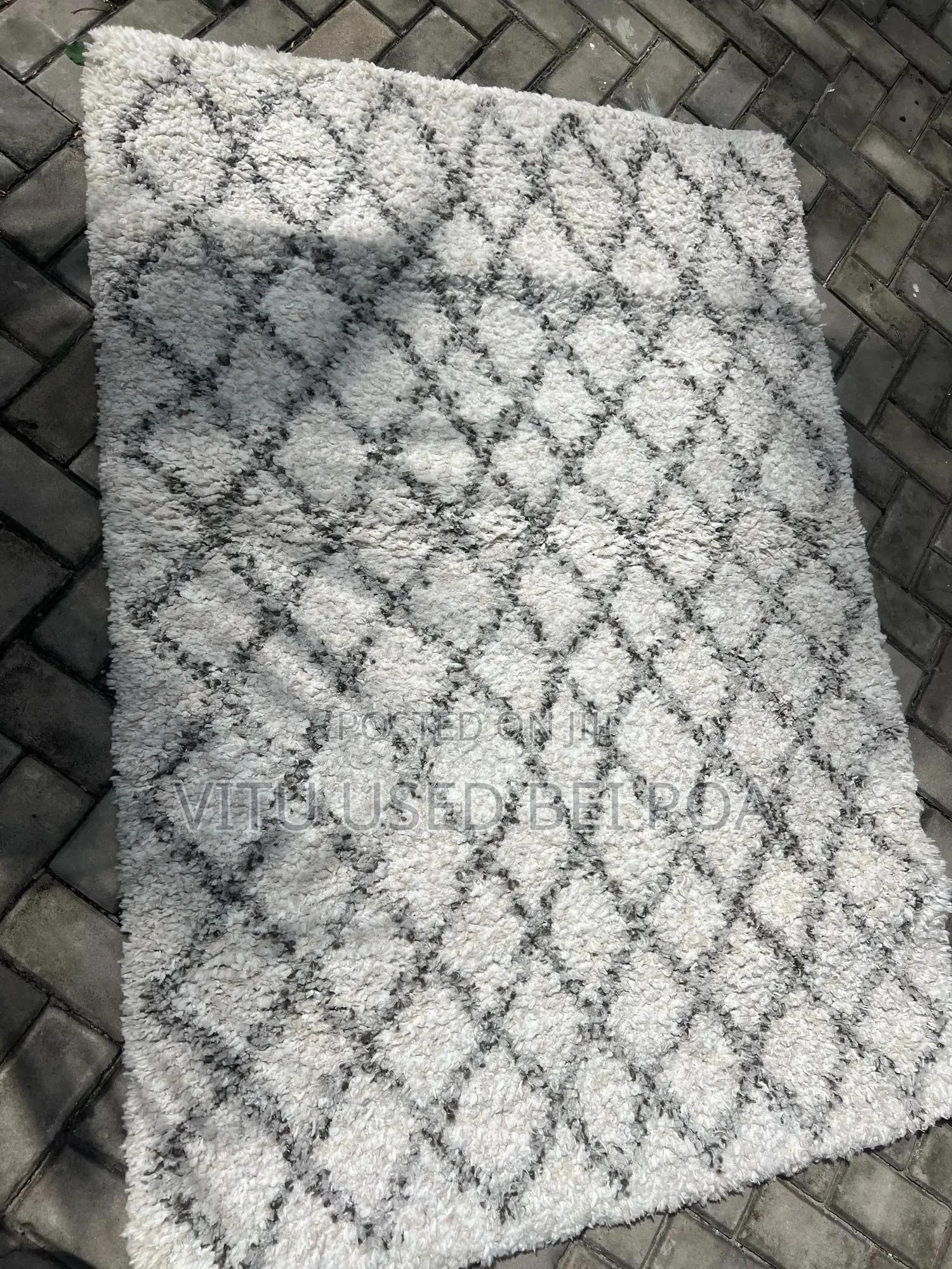 Carpert/Rug