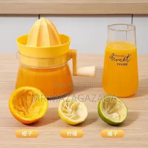 Hand Cranked Juice Extractor