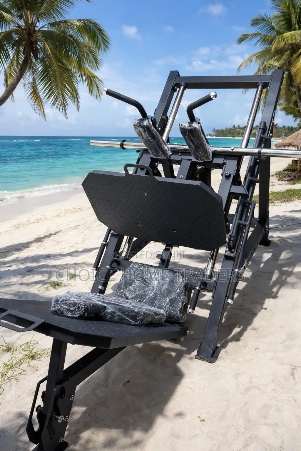 Leg Press/Squart Machine