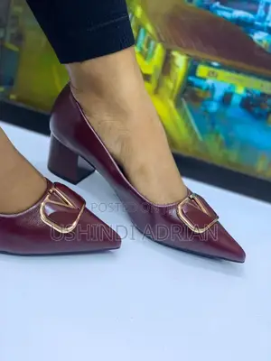 Viatu Vya Ofisini: Muonekano Wa Kitaalamu