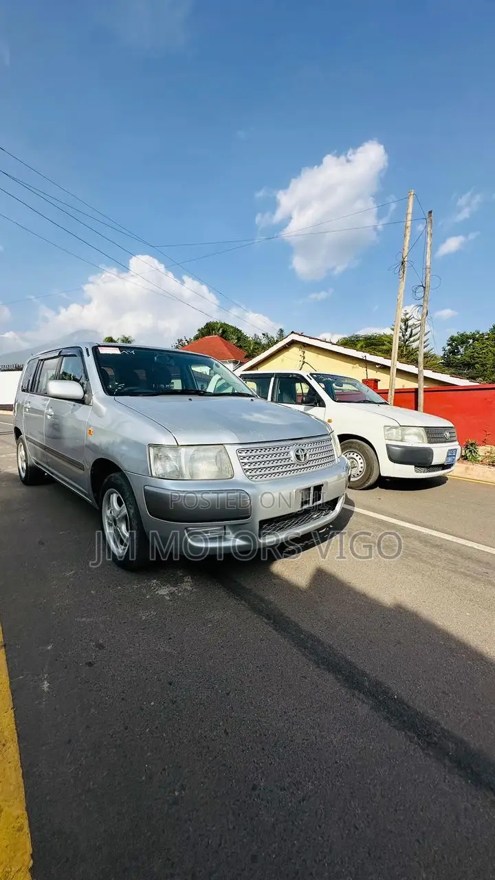 Toyota Probox 2004 Silver