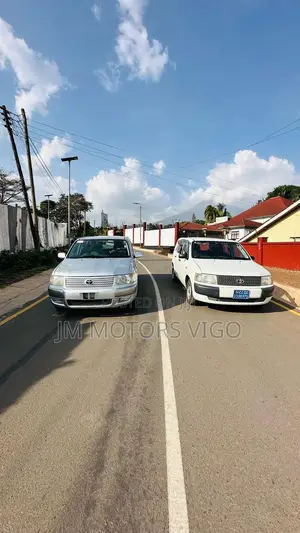 Toyota Probox 2004 Silver