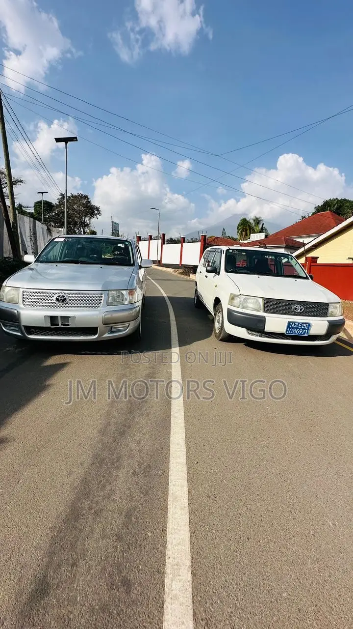 Toyota Probox 2004 Silver