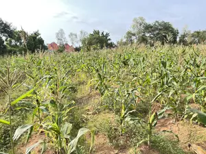 Pata Viwanja Mwanza Vya Kulipia Kwa Awam