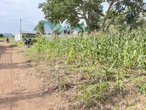Pata Viwanja Mwanza Vya Kulipia Kwa Awam