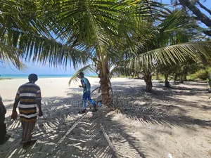 4bdrm House in Mikadi, Beach, Kinondoni for rent