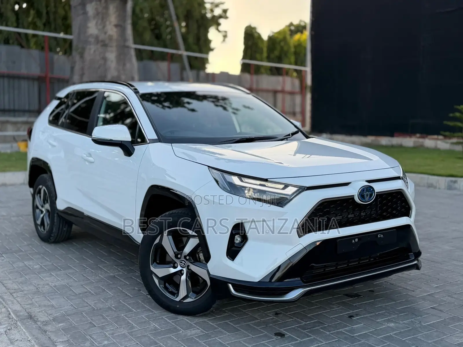 Toyota RAV4 2025 Pearl