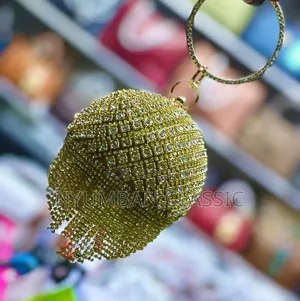 Beautiful Shine Handbags