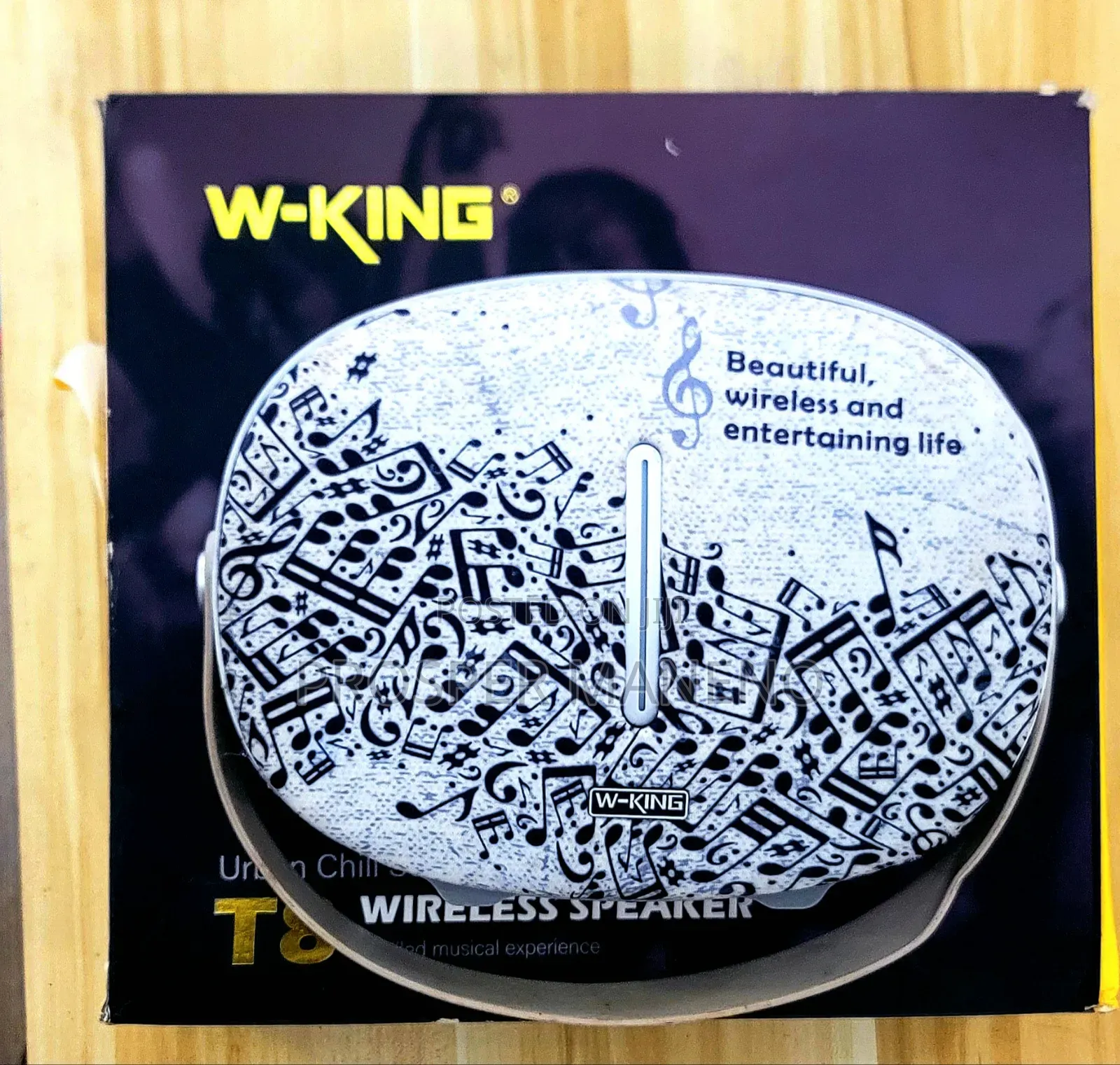W-King T8 Wireless Speaker