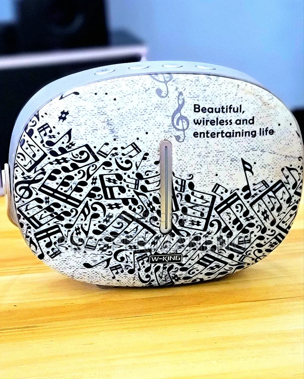W-King T8 Wireless Speaker