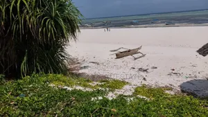 Beach Plot or Old Hotel for Sale at Matemwe Zanzibar