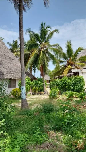 Beach Plot or Old Hotel for Sale at Matemwe Zanzibar