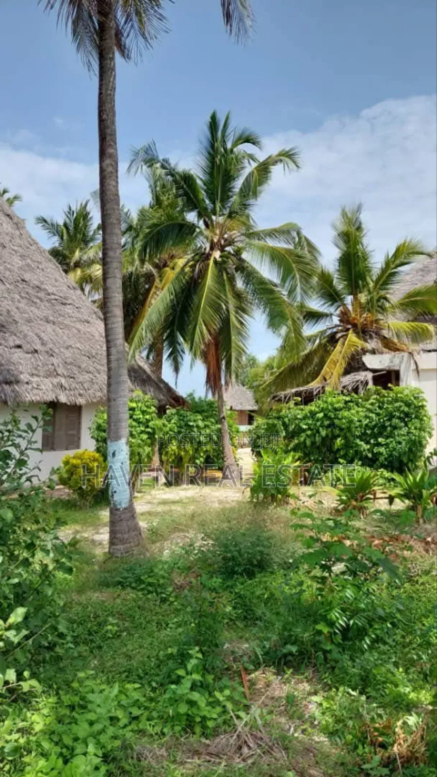 Beach Plot or Old Hotel for Sale at Matemwe Zanzibar