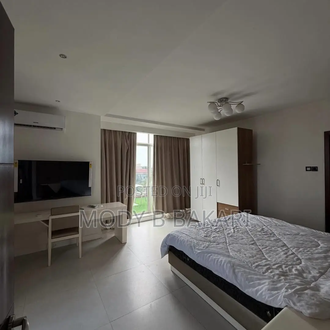 Furnished 1bdrm Penthouse in Masaki for rent