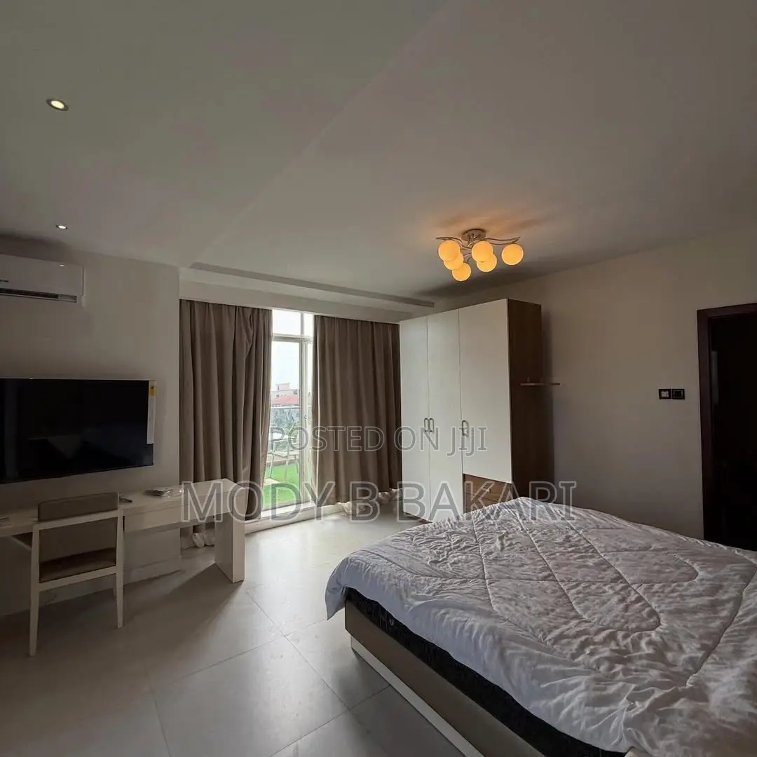 Furnished 1bdrm Penthouse in Masaki for rent