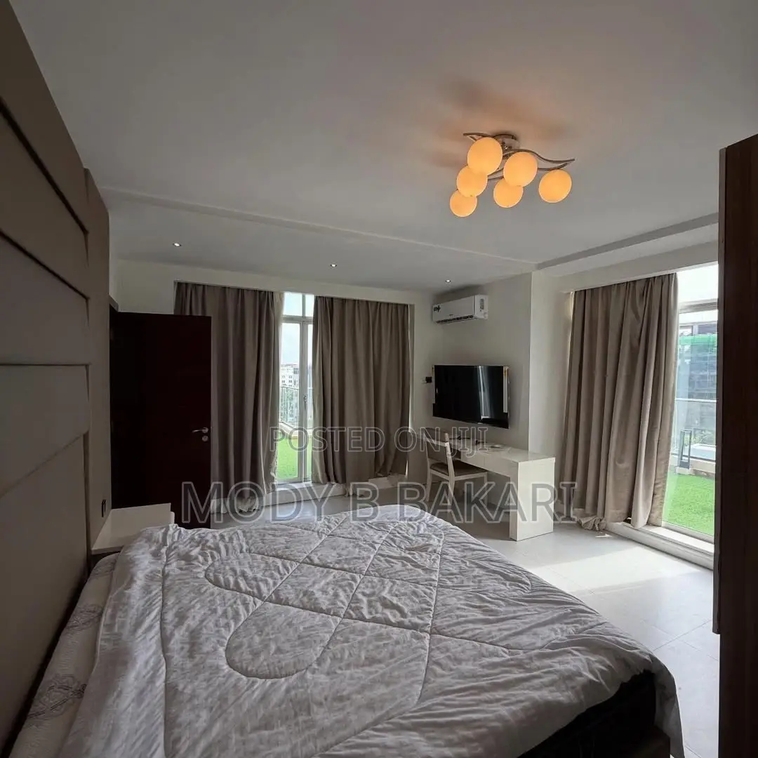 Furnished 1bdrm Penthouse in Masaki for rent