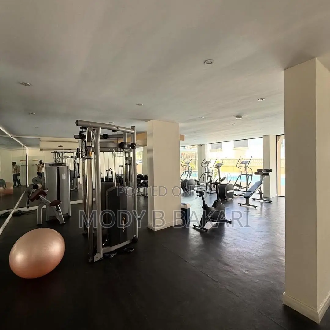 Furnished 1bdrm Penthouse in Masaki for rent