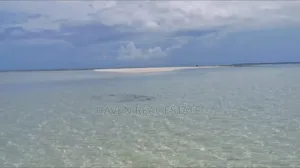  *Beachfront Land for Sale – Uroa, Zanzibar* 