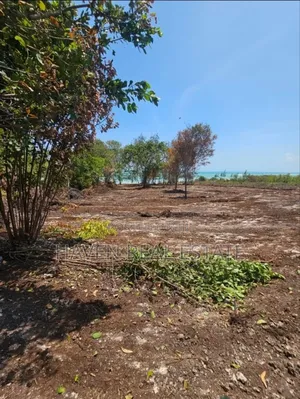  *Beachfront Land for Sale – Uroa, Zanzibar* 