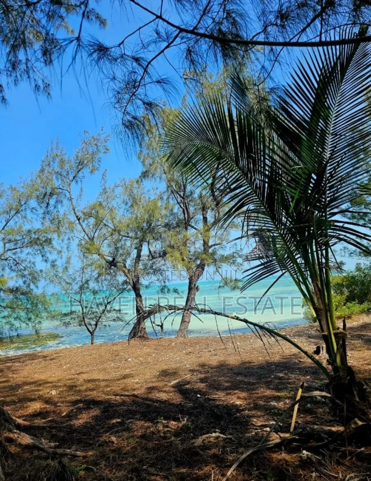  *Beachfront Land for Sale – Uroa, Zanzibar* 