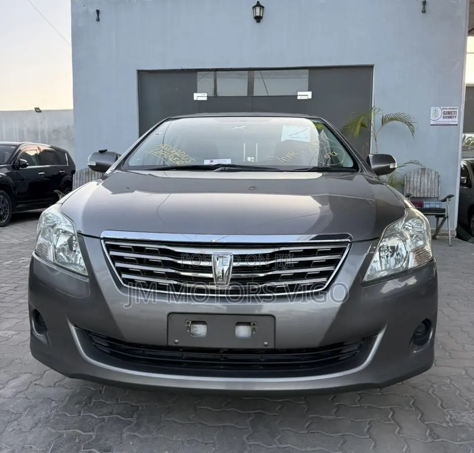 Toyota Premio 2009 Gray