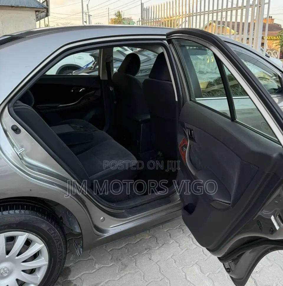 Toyota Premio 2009 Gray