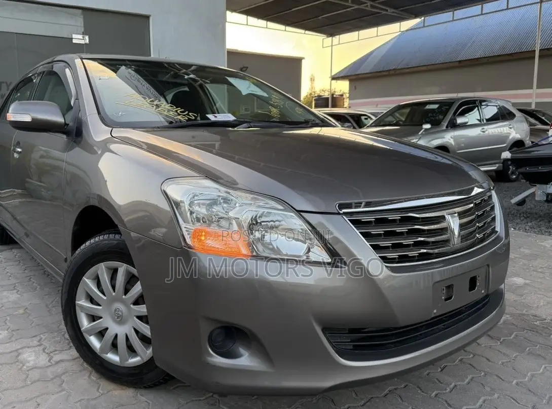Toyota Premio 2009 Gray