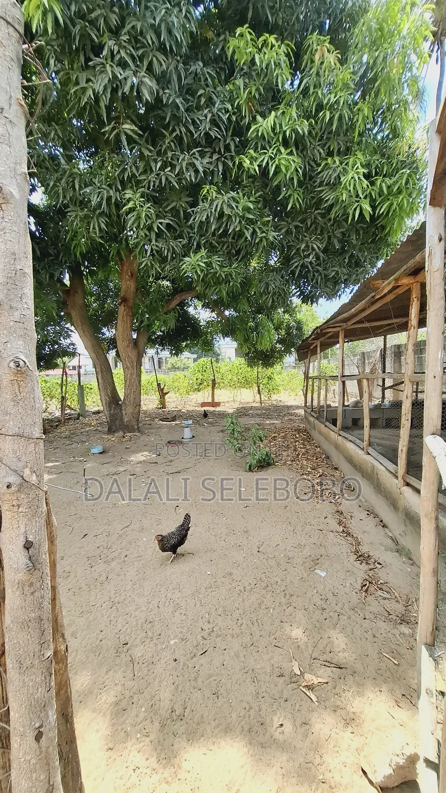 Big Plot Sale at Bunju B