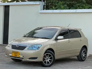 Toyota Corolla RunX 2004 Gold