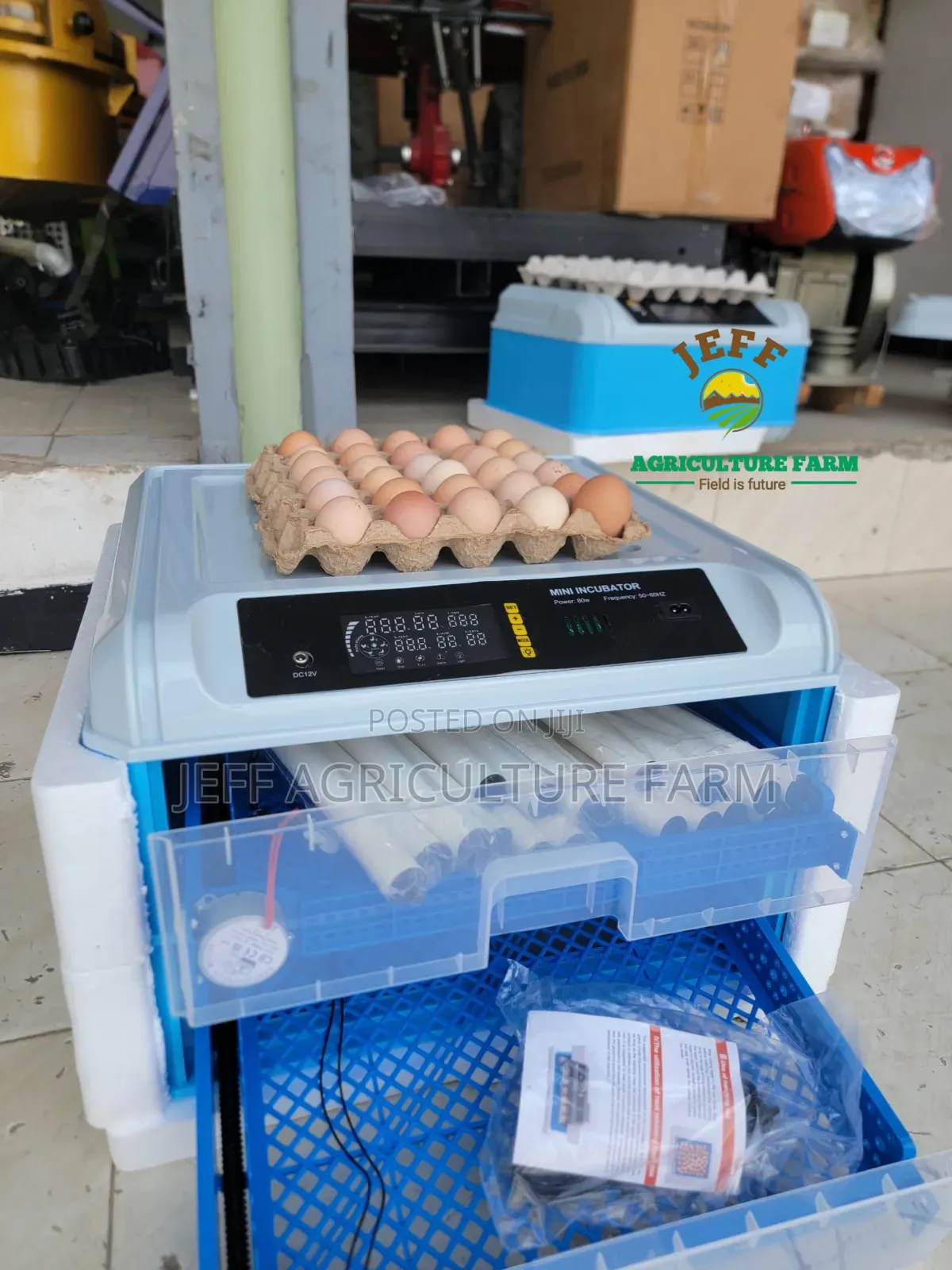 Incubator Mayai 70 Blue