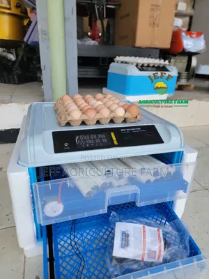 Incubator Mayai 70 Blue