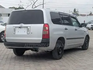 Toyota Succeed 2007 Silver