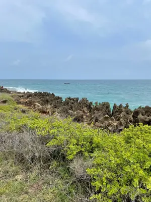 Beach Plot for Sale Kigamboni, Mbutu
