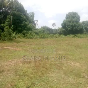 Pangeni Farmland for Sale