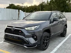 New Toyota RAV4 Hybrid 2024 Gray