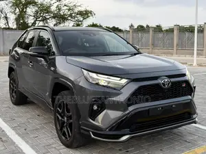 New Toyota RAV4 Hybrid 2024 Gray