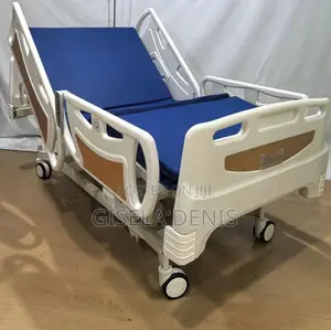 Five Crank Electric Bed