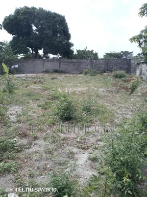 Kiwanja Sqmita 600 Kinauzwa Milioni 15 Gongolamboto Majohe Rada.