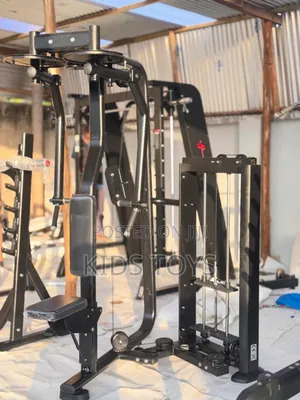2 in 1 Pec Fly and Rear Delt Machine