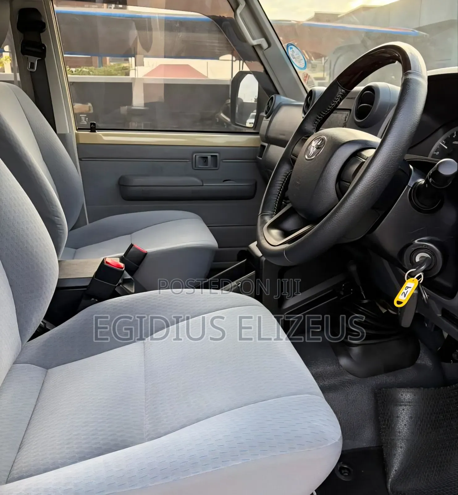 Toyota Land Cruiser 2024 Brown
