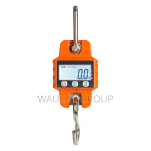 Hanging Scale