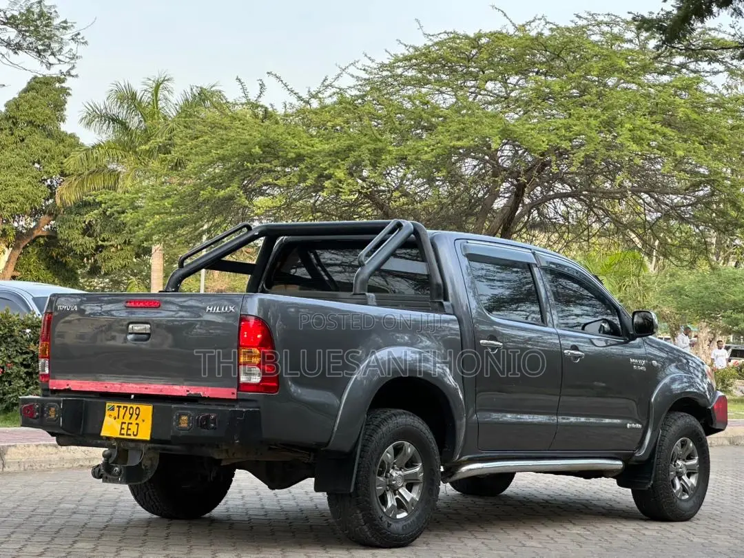 Toyota Hilux 2010 Gray